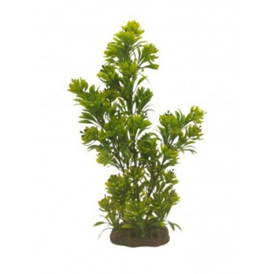 ΔΙΑΚΟΣΜΗΤΙΚΟ ΦΥΤΟ ΕΝΥΔΡΕΙΟΥ 35Χ10CM